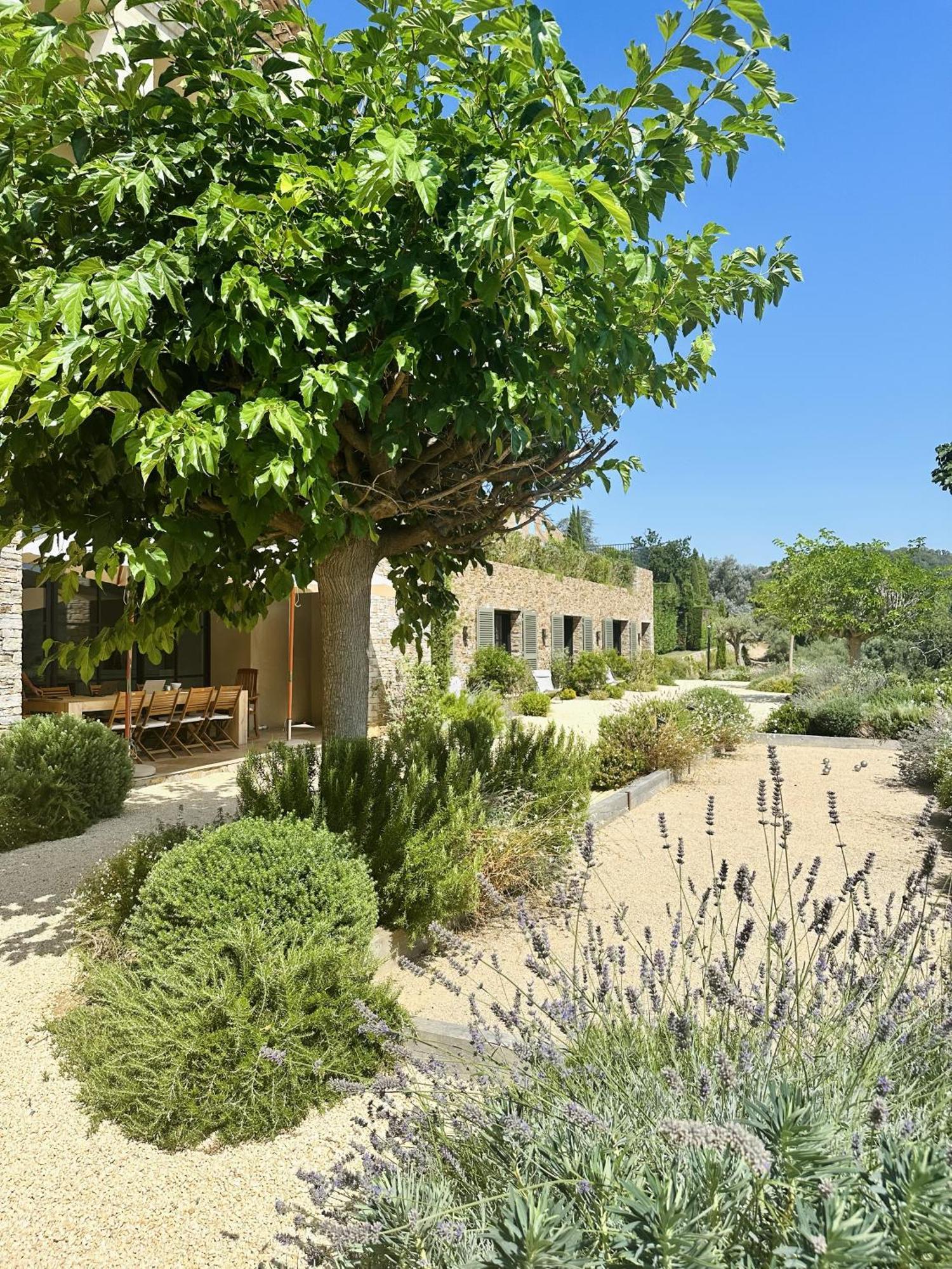 Le Mas Saint Michel Grimaud Bed & Breakfast Ngoại thất bức ảnh